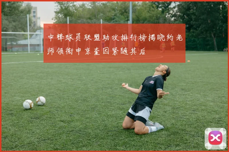 中锋球员联盟助攻排行榜揭晓约老师领衔申京奎因紧随其后